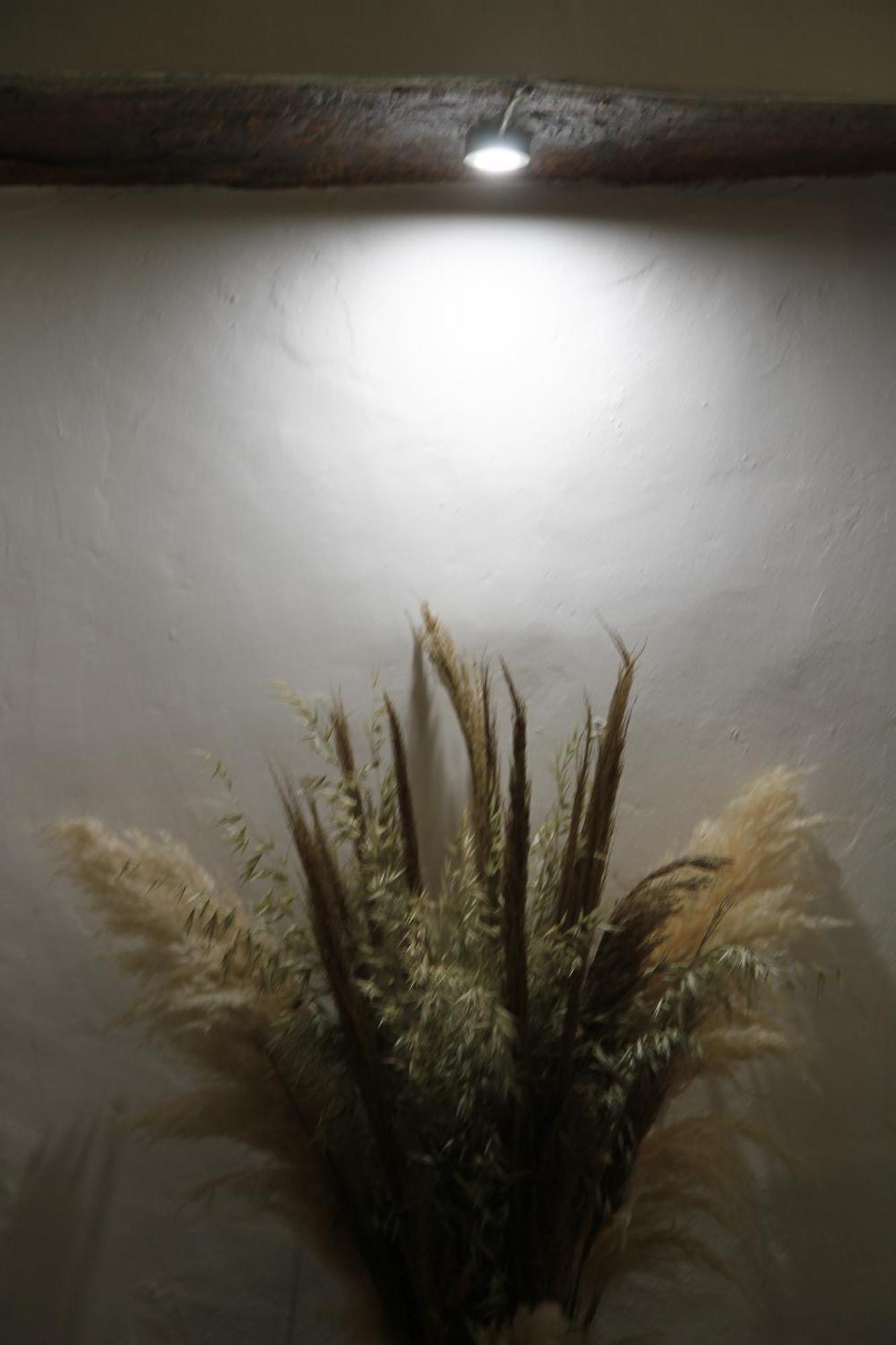 Vila Casa Dos Avos Monsaraz Exteriér fotografie